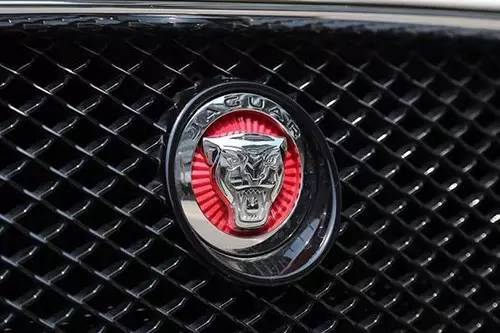 車標(biāo)上的動物都是啥來頭？看完又能出去裝X了