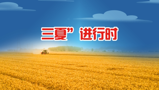 “三夏”進行時