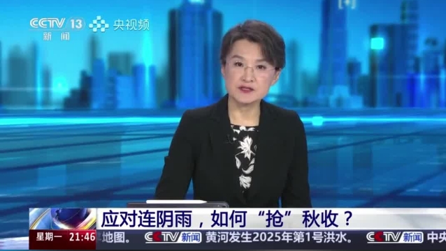 【主流媒體看周口】面對(duì)連陰雨 如何“搶”秋收？